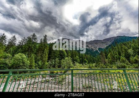 großer Alpsee, das vielseitige Naturerlebnis im Oberallgäu : der Große Alpsee-Rundweg Banque D'Images