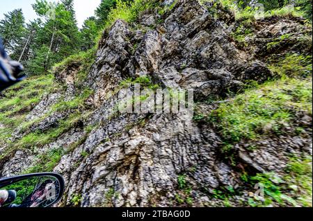 großer Alpsee, das vielseitige Naturerlebnis im Oberallgäu : der Große Alpsee-Rundweg Banque D'Images