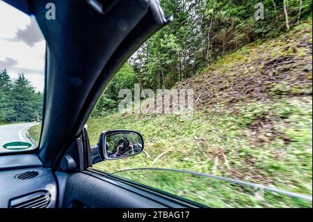 großer Alpsee, das vielseitige Naturerlebnis im Oberallgäu : der Große Alpsee-Rundweg Banque D'Images