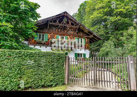 großer Alpsee, das vielseitige Naturerlebnis im Oberallgäu : der Große Alpsee-Rundweg Banque D'Images