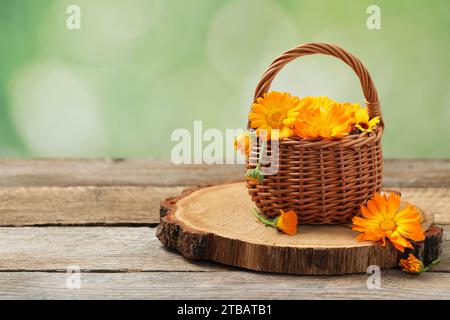 Belles fleurs fraîches de calendula dans un panier en osier sur une table en bois sur fond vert flou, espace pour le texte Banque D'Images