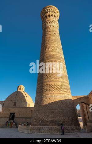 27 JUIN 2023, BOUKHARA, OUZBÉKISTAN : vue sur la mosquée POI Kalon et le minaret au coucher du soleil, à Boukhara, Ouzbékistan. Image verticale avec espace de copie f Banque D'Images