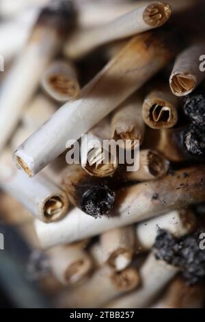 Beaucoup de conseils de joints fumants en verre transparent macro cannabis médical cretan super citron brume gros plan et fonds d'écran en super fine haute Banque D'Images