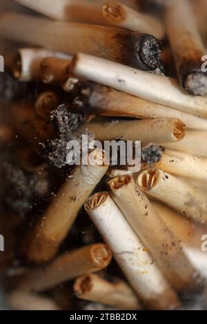 Beaucoup de conseils de joints fumants en verre transparent macro cannabis médical cretan super citron brume gros plan et fonds d'écran en super fine haute Banque D'Images