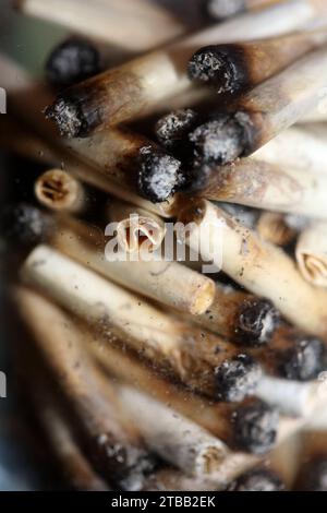 Beaucoup de conseils de joints fumants en verre transparent macro cannabis médical cretan super citron brume gros plan et fonds d'écran en super fine haute Banque D'Images