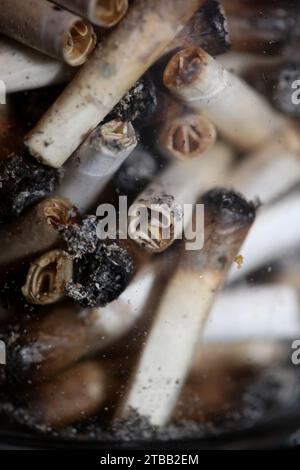 Beaucoup de conseils de joints fumants en verre transparent macro cannabis médical cretan super citron brume gros plan et fonds d'écran en super fine haute Banque D'Images