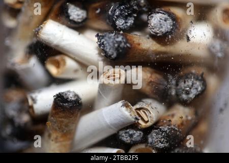 Beaucoup de conseils de joints fumants en verre transparent macro cannabis médical cretan super citron brume gros plan et fonds d'écran en super fine haute Banque D'Images