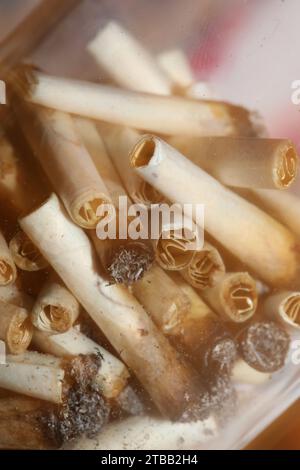 Beaucoup de conseils de joints fumants en verre transparent macro cannabis médical cretan super citron brume gros plan et fonds d'écran en super fine haute Banque D'Images