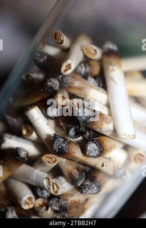 Beaucoup de conseils de joints fumants en verre transparent macro cannabis médical cretan super citron brume gros plan et fonds d'écran en super fine haute Banque D'Images