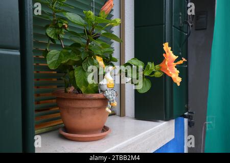 Canard coloré assis sur le bord d'un pot de fleurs à Murano Italie. Banque D'Images