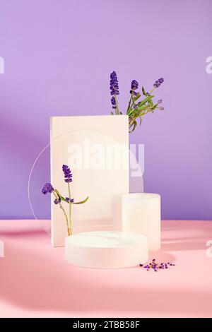 Des fleurs de lavande fraîches sont décorées autour de plates-formes blanches sur un fond rose-violet. Espace idéal pour afficher des cosmétiques à l'essence de lavande. Banque D'Images