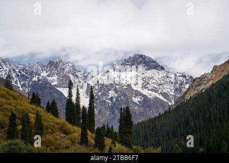 Paysage de forêt et montagne de neige dans le Xinjiang, Chine Banque D'Images