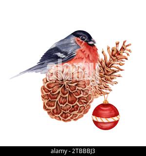 Composition de Noël avec un oiseau bullfinch rouge perché sur des pommes de pin ornées d'une boule. Illustration aquarelle dessinée à la main isolée Banque D'Images