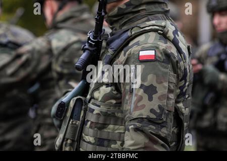 Bucarest, Roumanie - 1 décembre 2023 : Détails d'un soldat polonais en uniforme lors du défilé militaire de la fête nationale roumaine. Banque D'Images