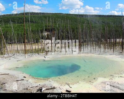 source colorée de citerne dans le bassin arrière du bassin de geyser norris par une journée ensoleillée dans le parc national de yellowstone dans le wyoming Banque D'Images