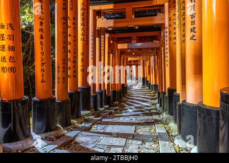 Chemin sous le torii dans le temple fushimi inari à Kyoto Banque D'Images