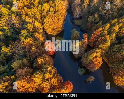 Nanjing, Chine. 06 décembre 2023. Une forêt de sapins colorés est exposée au lac Yanque dans le mausolée Ming Xiaoling à Nanjing, province du Jiangsu, Chine, le 21 novembre 2023. (Photo Costfoto/NurPhoto) crédit : NurPhoto SRL/Alamy Live News Banque D'Images