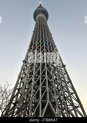 Achevé en 2012, le Tokyo Skytree est situé dans le quartier Sumida de Tokyo, au Japon et est l'une des plus hautes structures du monde. Banque D'Images