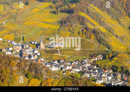 Vignobles en automne, Mayschoß avec église paroissiale, région viticole rouge Ahrtal, Pinot Noir et vin rouge portugais est cultivé ici, Eifel, Rhin Banque D'Images