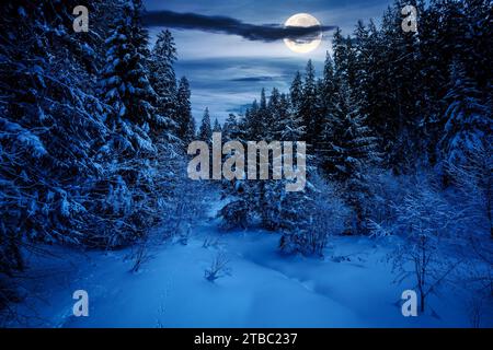 paysage avec clairière couverte de neige parmi la forêt de sapins la nuit. paysage d'hiver du parc national synevyr ukraine dans la lumière de pleine lune Banque D'Images