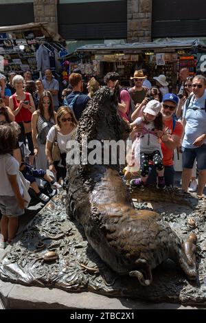 Touriste visitant la Fontana del Porcellino dans le centre de Florence, Italie Banque D'Images