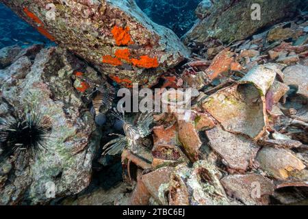 Épave d'anciemt datant du 6 siècle avant J.-C. dans la zone de protection marine de Datca Bozburun Turkiye Banque D'Images