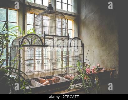 Une cage à oiseaux ornée avec des pots de fleurs sur un rebord de fenêtre dans un manoir de campagne anglais. Banque D'Images