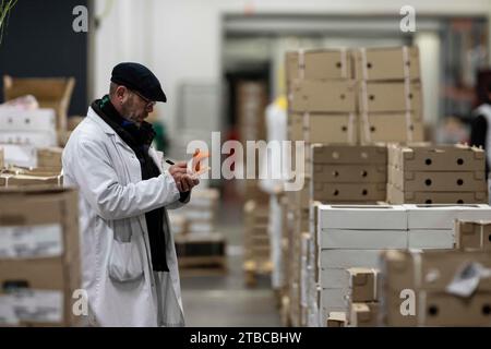 Cette photographie montre un employé qui travaille au pavillon volatile du marché International de Rungis, banlieue sud de Paris, le 6 décembre 2023. Le marché International de Rungis (Marche International de Rungis) est le principal marché de Paris, principalement pour les produits alimentaires et horticoles, situé sur la commune de Rungis, dans la banlieue sud. C'est le deuxième plus grand marché alimentaire en gros dans le monde après Central de Abasto, situé dans la ville de Mexico. Depuis ses origines au 10e siècle jusqu’au milieu du 20e siècle, le marché central de Paris était situé au centre de la ville, dans un 10-hec Banque D'Images