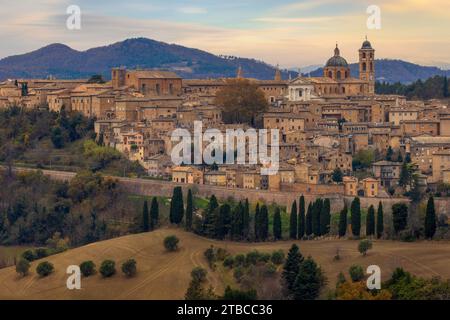 Une vue panoramique sur Urbino, un joyau de la Renaissance, perché au sommet d'une colline au milieu de la campagne verdoyante des Marches, en Italie. Banque D'Images