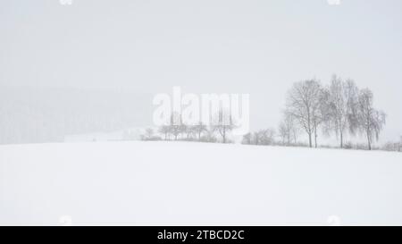 Une scène d'hiver blanche et enneigée paisible près d'un petit village en Bavière whiutiout les gens. Cette zone fait partie du parc national de la forêt bavaroise. Banque D'Images