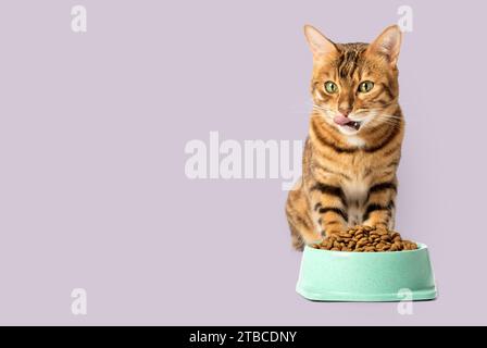 Chat Bengal et un bol de nourriture sèche sur un fond violet. Espace de copie. Banque D'Images