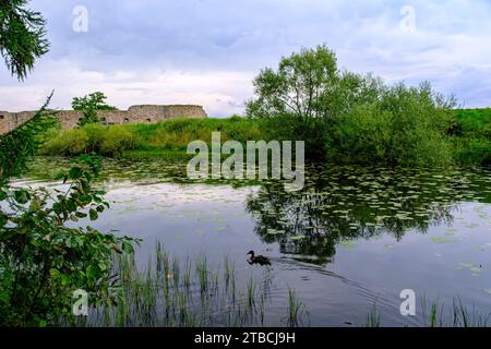 Vue panoramique sur les ruines du château de Kronoberg (Kronobergs slottsruin), Växjö, Smaland, Kronobergs län, Suède. Banque D'Images
