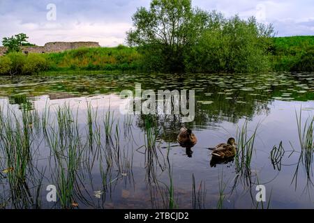 Vue panoramique sur les ruines du château de Kronoberg (Kronobergs slottsruin), Växjö, Smaland, Kronobergs län, Suède. Banque D'Images