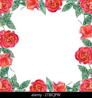 Cadre carré de roses rouges et feuilles vertes. Illustration aquarelle isolée sur fond blanc. Cartes de voeux, invitations de mariage, Saint Valentin. Banque D'Images