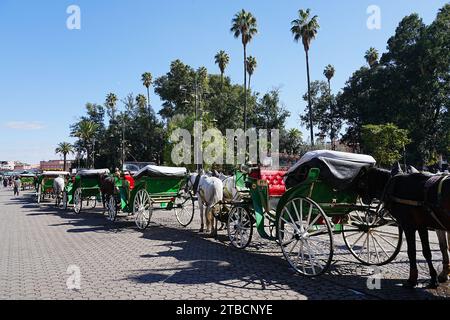 Calèche tirée par des chevaux à Jemaa el-Fnaa dans la ville africaine DE MARRAKECH au MAROC, ciel bleu clair en 2023 chaude journée d'hiver ensoleillée en janvier. Banque D'Images