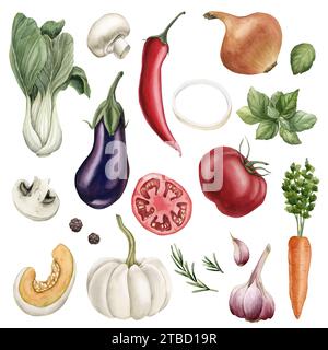 Ensemble de légumes : aubergine, Bok Choy, champignons, tomate, poivre, oignon, basilic, citrouille, carotte, ail, romarin. Peinture à la main illustration aquarelle Banque D'Images