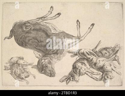 Cerfs morts, lièvres et jeu 1951 par Wenceslaus Hollar Banque D'Images