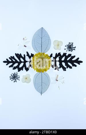 Un mandala fait de fleurs et de feuilles sur fond blanc. Banque D'Images