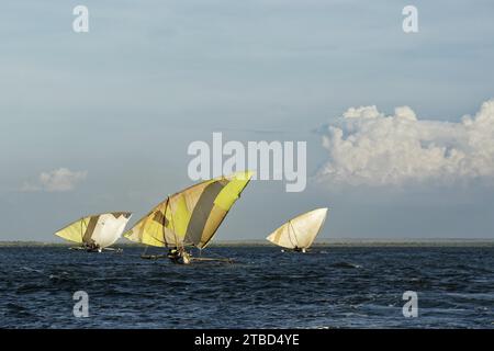 Boutre traditionnel, voiliers, voiles jaunes, pêcheurs, Mahajanga, Madagascar Banque D'Images