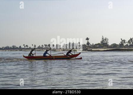 Pirogue, bateau de pêche, rameur, actif, plage, palmiers, Morandava, Madagascar Banque D'Images