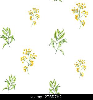 Motif de printemps avec des fleurs jaunes et des branches vertes de feuilles. Plantes dans un style transparent. Illustration aquarelle isolée sur blanc. Banque D'Images