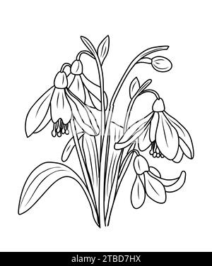 Snowdrop, mois de naissance de janvier vecteur de fleur art. Illustration de Vecteur