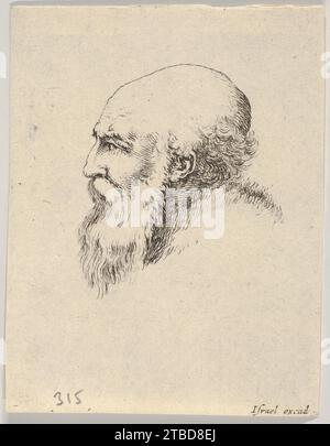 Planche 8 : tête d'un vieil homme chauve avec une longue barbe, orientée à gauche de profil, tirée de 'diverses têtes et figures' (diverses tetes et figures) 2012 par Stefano della Bella Banque D'Images