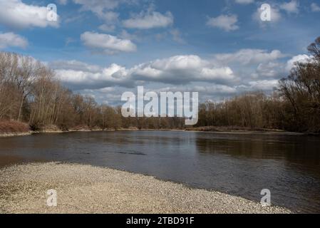 Rivière Mura (mur) au début du printemps, Slovénie, Europe Banque D'Images