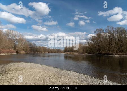 Rivière Mura (mur) au début du printemps, Slovénie, Europe Banque D'Images