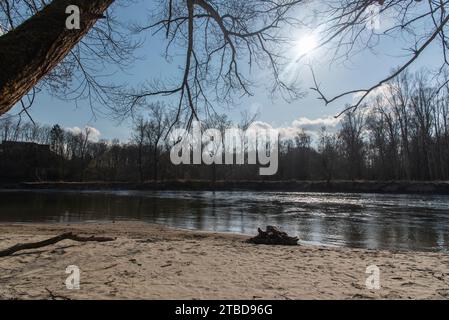 Rivière Mura (mur) au début du printemps, Slovénie, Europe Banque D'Images