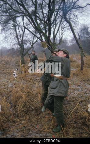 Tir au faisan. Un tir d'oiseau de gibier sur un domaine privé. Gerry Grimstone, (Lord Grimstone of Boscobel) un grand nom de la ville de Londres avec chargeur et picker-Upper en arrière-plan. Lancashire, Angleterre vers décembre 1985. Banque D'Images