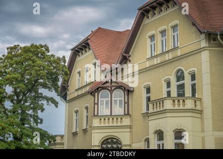 Villa ancienne, quartier de villa, Lennestrasse, Magdebourg, Saxe-Anhalt, Allemagne Banque D'Images