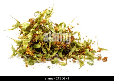 Feuilles et fleurs de tilleul séchées sur fond blanc Banque D'Images