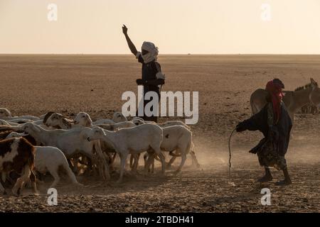 Style de vie nomade dans le désert du Tchad Banque D'Images